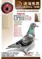 图片暂时未上传