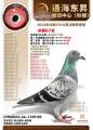 图片暂时未上传