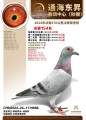 图片暂时未上传