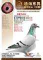 图片暂时未上传