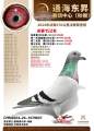 图片暂时未上传