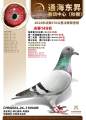 图片暂时未上传