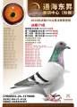 图片暂时未上传