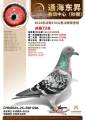 图片暂时未上传
