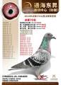 图片暂时未上传