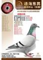 图片暂时未上传