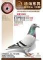 图片暂时未上传
