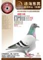 图片暂时未上传