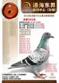 图片暂时未上传