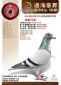 图片暂时未上传