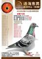 图片暂时未上传