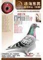 图片暂时未上传