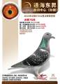 图片暂时未上传