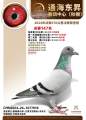 图片暂时未上传