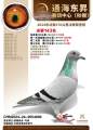 图片暂时未上传