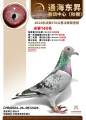 图片暂时未上传