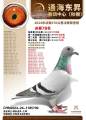 图片暂时未上传