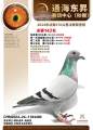 图片暂时未上传