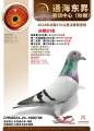 图片暂时未上传