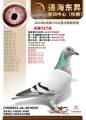 图片暂时未上传
