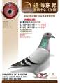 图片暂时未上传