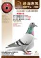 图片暂时未上传