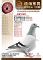图片暂时未上传