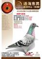 图片暂时未上传