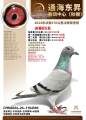 图片暂时未上传