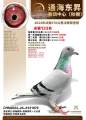 图片暂时未上传