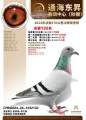 图片暂时未上传
