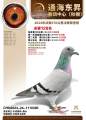 图片暂时未上传