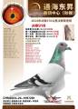 图片暂时未上传