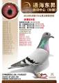 图片暂时未上传