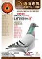 图片暂时未上传
