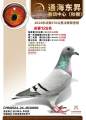 图片暂时未上传