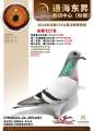 图片暂时未上传