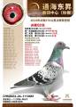 图片暂时未上传