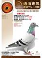 图片暂时未上传