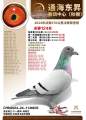 图片暂时未上传