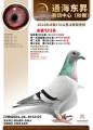图片暂时未上传