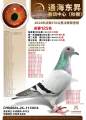 图片暂时未上传