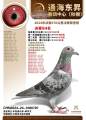 图片暂时未上传