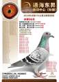 图片暂时未上传
