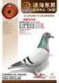 图片暂时未上传