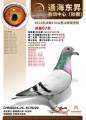 图片暂时未上传