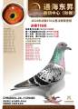 图片暂时未上传