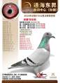 图片暂时未上传
