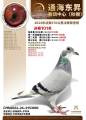 图片暂时未上传