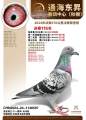 图片暂时未上传